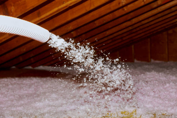 Best Home Insulation Services  in Trenton, IL