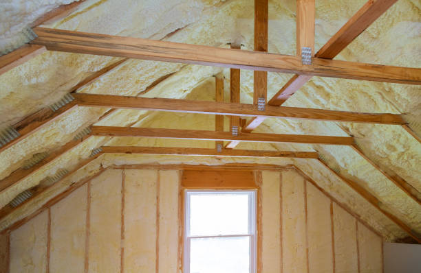 Best Garage Insulation Installation  in Trenton, IL
