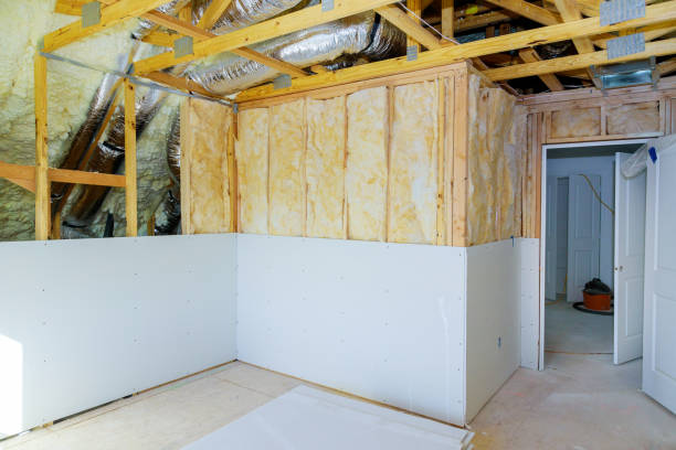 Best Insulation Inspection Services  in Trenton, IL