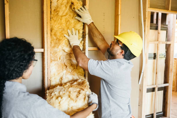 Insulation Replacement Services in Trenton, IL