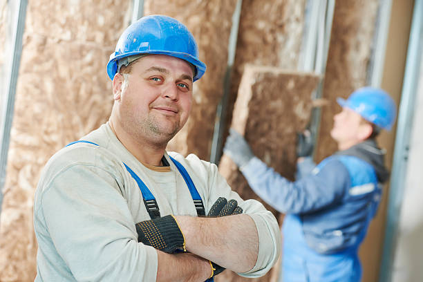 Best Affordable Insulation Services  in Trenton, IL