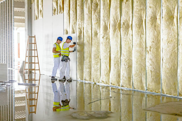 Best Commercial Insulation Contractor  in Trenton, IL